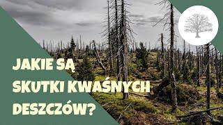 Kwaśne deszcze - czym są i co je powoduje?