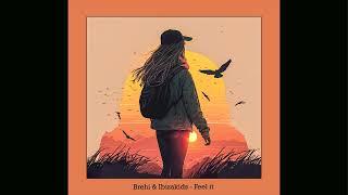 Brehi & Ibizakids - Feel it