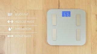 Track all your Body Metrics with This Scale | by Greater Goods