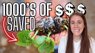 25 Science-Backed Seed Starting Tips That Saved Me Thousands! 