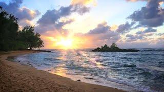 Ocean Sounds for Sleeping, Studying or Relaxing | Hawaii Nature White Noise 10 Hours