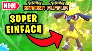 Jetzt noch EINFACHER Shiny Riolu fangen im Pokemon Karmesin & Purpur DLC türkisgrüne Maske!