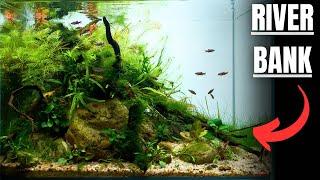 I MADE A RIVERBANK FOR TINY RASBORAS AND LOACHES! Aquascape Tutorial