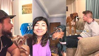 Bark at Your Dog Challenge  TikTok Compilation 2023 #2