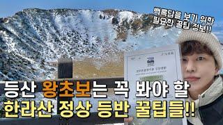 등린이의 한라산 [성판악-관음사 코스] 설산 등반 (꿀팁모음,한라산은 겨울에 가야 하는 이유..!!!)