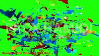 beautiful Green Screen Colorful Butterfly  Reveal3