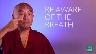 "Meditation & Monkey Mind" ~ Yongey Mingyur Rinpoche