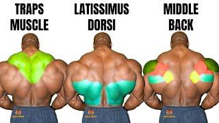 TOP 5 LAT MIDDLE BACK TRAPS WORKOUT WITH DUMBBELLS  CABLE AND MACHINE  AT GYM