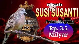 SANG LEGENDA - SUSI SUSANTI PERKUTUT 3,5 MILYAR