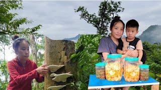 The process of making chili bamboo shoots - harvesting ling tri mushrooms for sale