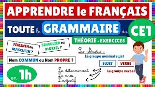 Learn all CE1 French grammar in 1 hour!