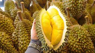 Erstaunliche Master-Kollektion zum Schneiden von reifem Durian – thailändisches Streetfood