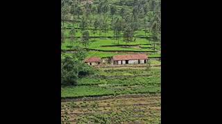 Real Ghost Caught on Camera  |   haunted house in ooty tea estate | real ghost house