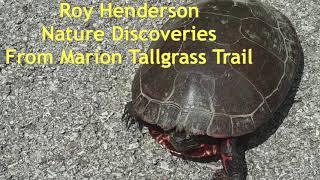 Nature Discovery 5: Roy Henderson at Marion Tallgrass Trail