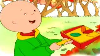 Los colores del otoño | Caillou en Español Castellano