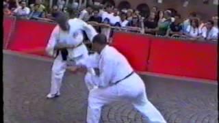 Shaolin Tan Tao tui Kun fa - Luigi Caforio e Fulvio Boccalari - Kung Fu scuola Chang a Pavia 1994