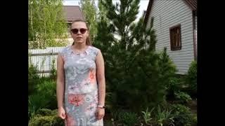 Сочинение (И. Пивоварова) - Рассказ представляет Полина Березина. Детская библиотека