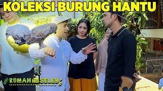 Koleksi Burung Hantu Irfan Hakim yang Keren Keren - Rumah Seleb (23/9) PART 2