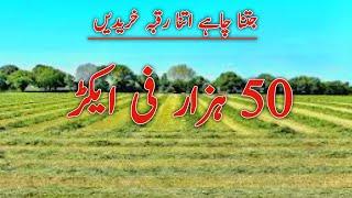 Agriculture land for sale near road |zari zameen for sale in Punjab Pakistan | land for sale