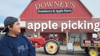 Downey’s Strawberry Apple Farm: Minutes Away From Toronto, Apple Picking | Travel Ontario, Canada