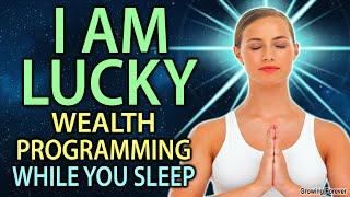 WEALTH Programming to Attract Luck and Abundance ~ Manifest Money While You Sleep