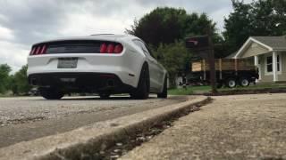 2015 mustang gt (pp) Gibson catback exhaust