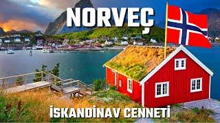 Norveçin Özerinden Uçuyoruz- 4K HD | Norveç Hakkında İlginç Bilgiler | Norveç'te Yaşam