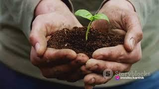 Organic Farming - A Green Thumb's Guide