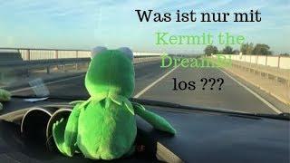 diewelterleben - Was ist nur mit Kermit the DreamBi los ???