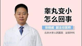 睾丸变小怎么回事 有来医生