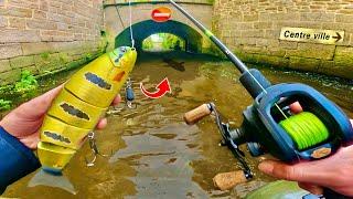 Je ne m’attendais pas à ça en pêchant dans ce centre-ville, des zones de pêche improbables !!