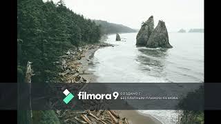 Дневник Попана, или с чего все началось!!!!