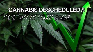 These 3 stocks could BOOM upon the descheduling of Cannabis!! | CONGRESS TO INTRODUCE BILL!