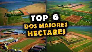 OS 6 GIGANTES MAIORES DONOS DE TERRAS NO BRASIL