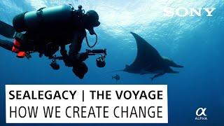 How We Create Change on SeaLegacy | The Voyage