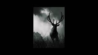 Deep Dark ReversedType Trap Beat Instrumental [Demons That Haunt You]