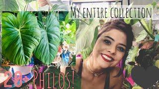 My Philodendron Collection! | Showing every Philo that I own !