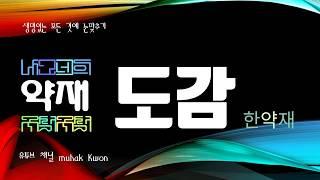 세상의 모든 한약재 308 토복령, 청미래덩굴의 뿌리줄기를 건조한 것