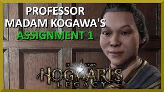 Madam Kogawa's Assignment 1 - Hogwarts Legacy