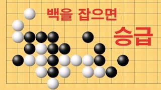 바둑 묘수 사활 - 백을 잡으면 승급 할 수 있습니다