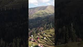 Autumn Bakhmaro, Georgia, part 5 #georgia #bakhmaro #drone #dronevide #грузия #Бахмаро #travel