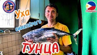 УХА ИЗ ГОЛОВЫ СИНЕПЁРОГО ТУНЦА. ФИЛИППИНЫ. BLUEFIN TUNA