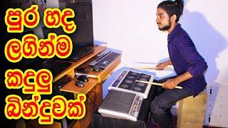 සීරියස් අලුත්ම එක OCTAPAD COVER - Serious New Band - Pura Hada