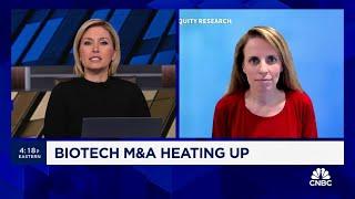 Wedbush's Laura Chico talks biotech investing in 2024