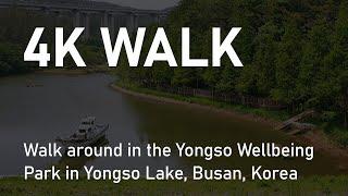 [4K] Walk around in the Yongso Wellbeing Park, Yongso Lake, Gijang, Busan, Korea 용소웰빙공원