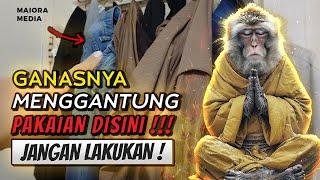 SIMAK BAIK-BAIK DAN TANGGUNG AKIBATNYA  Efek Ganas Menggantung Pakaian Kotor ...