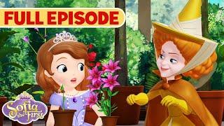 Make Way for Miss Nettle | S1 E16 | Sofia the First | Full Episode | @disneyjr