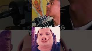 Pigs are HUMAN?! #podcast #conspiracy #shorts #theory #pig #bible #reincarnation #jumpersjump #viral