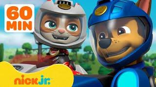 PAW Patrol & Wild Cat Moto Pups Rescues! w/ Chase & Marshall | 1 Hour Compilation | Nick Jr.