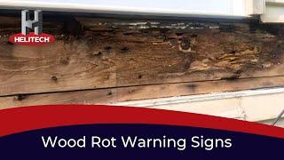 Wood Rot Warning Signs